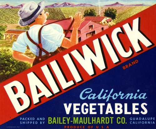 Bailiwick