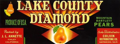 Lake County Diamond