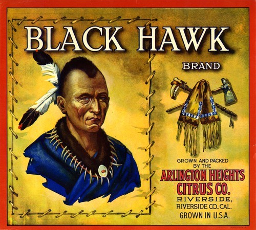 Black Hawk