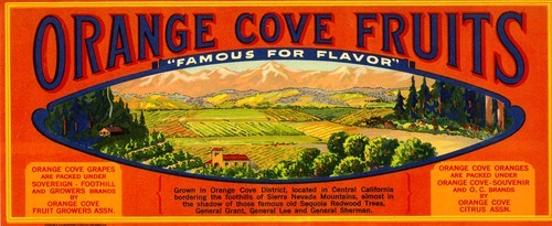 Orange Cove Fruits