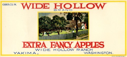 Wide Hollow Brand