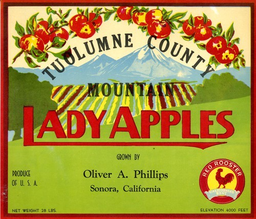 Lady Apples
