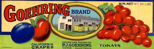 Goehring