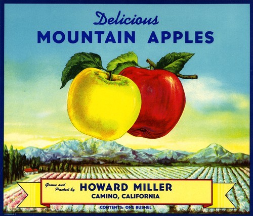 Delicious Mountain Apples