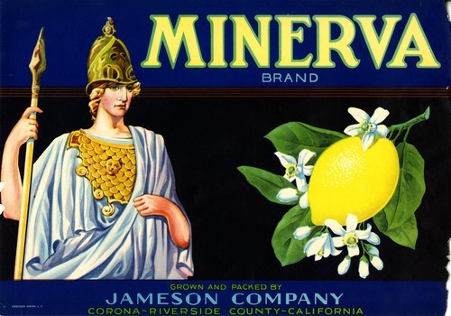 Minerva