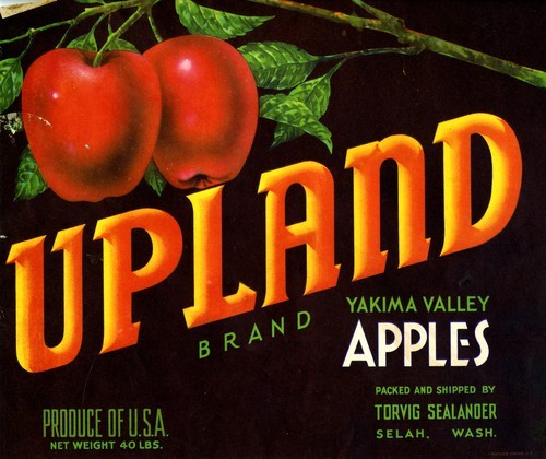 Upland