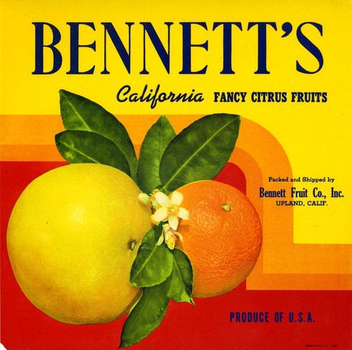 Bennett's