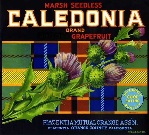 Caledonia