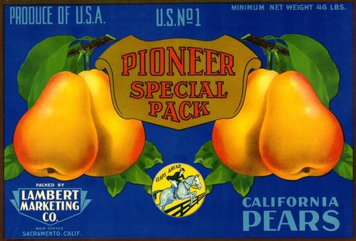 Pioneer Special Pack