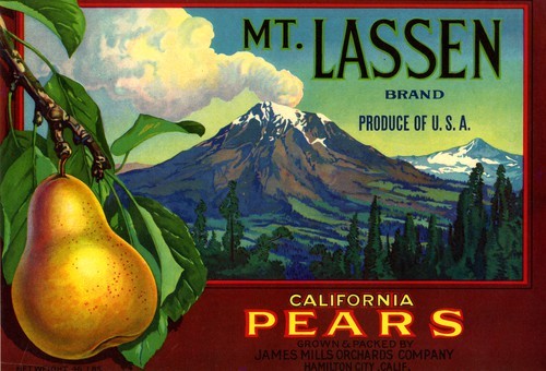 Mt. Lassen