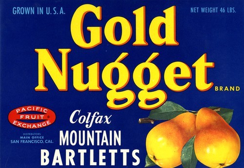 Gold Nugget