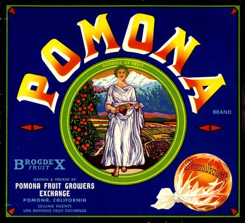 Pomona