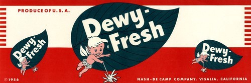 Dewy-Fresh