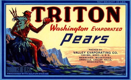 Triton Washington Evaporated Pears