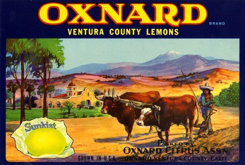 Oxnard