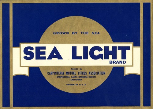 Sea Light