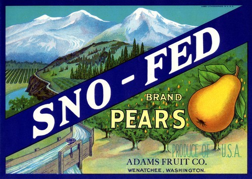 Sno-fed