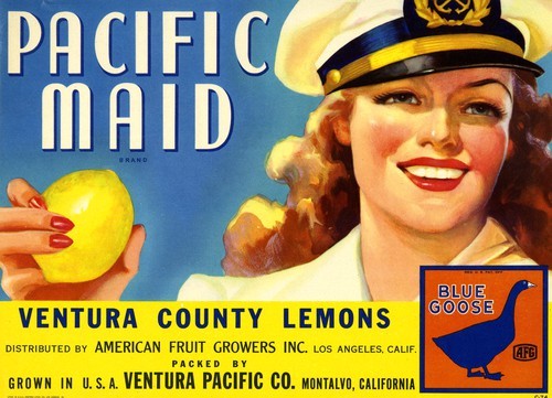 Pacific Maid