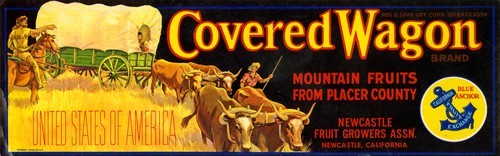 Covered Wagon