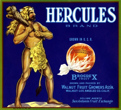 Hercules