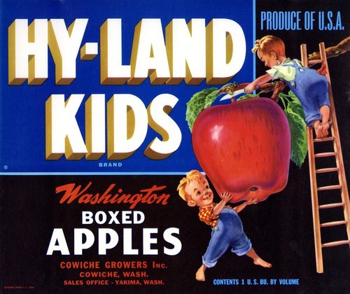 Hy-Land-Kids