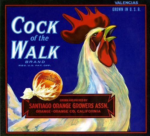 Cock of the Walk