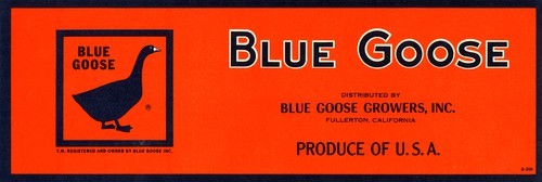 Blue Goose