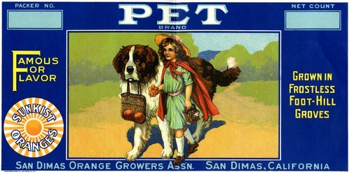 Pet