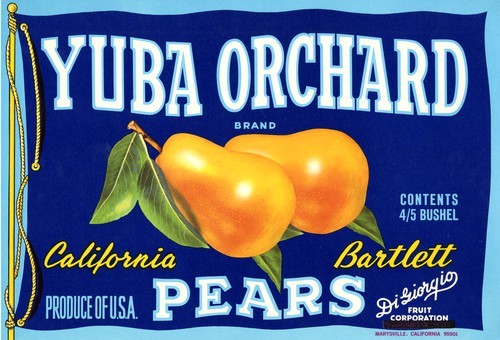 Yuba Orchard