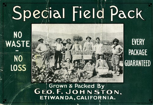 Special Field Pack