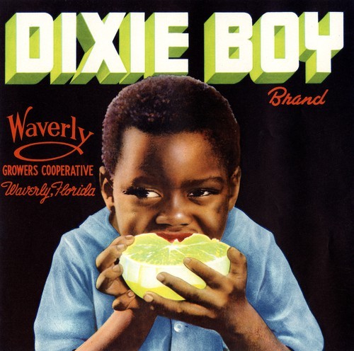 Dixie Boy