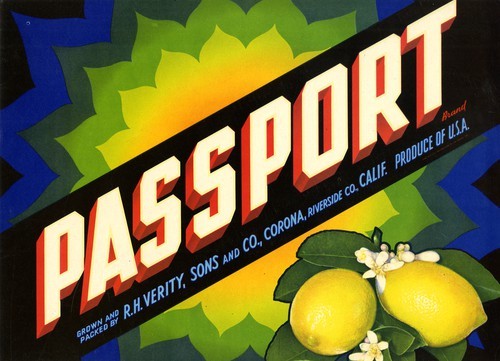 Passport