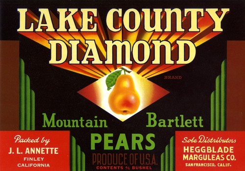 Lake County Diamond