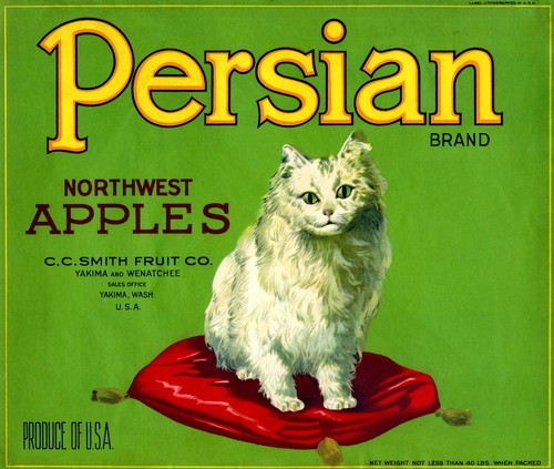 Persian