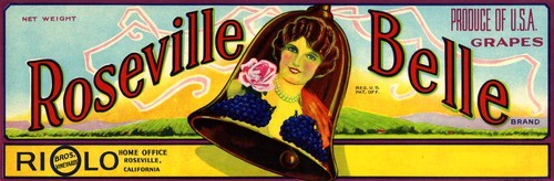 Roseville Belle