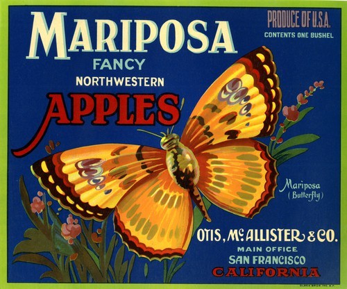 Mariposa Fancy Northwestern Apples