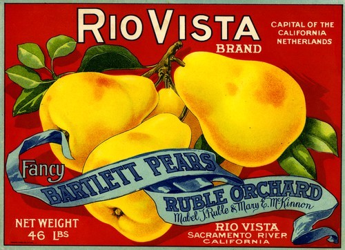 Rio Vista