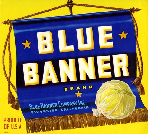 Blue Banner