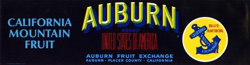 Auburn