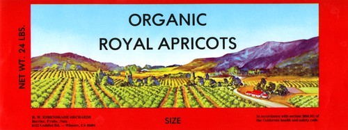 Organic Royal Apricots