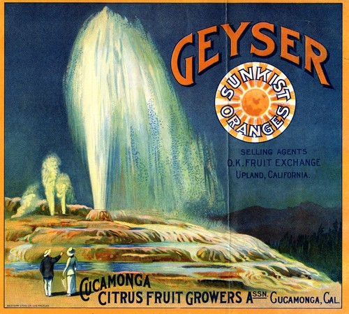 Geyser