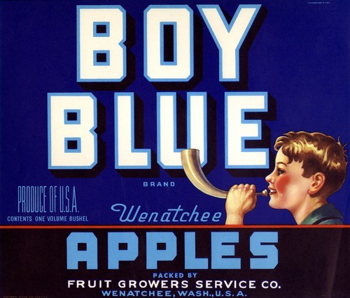 Boy Blue