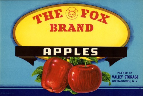 The Fox Brand