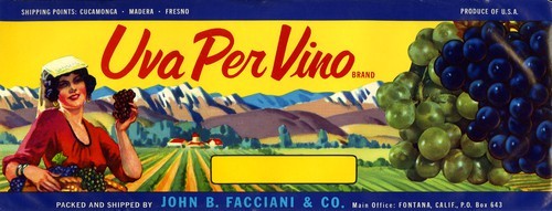 Uva Per Vino