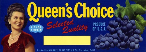 Queen's Choice