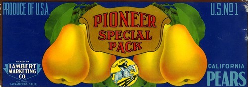 Pioneer Special Pack
