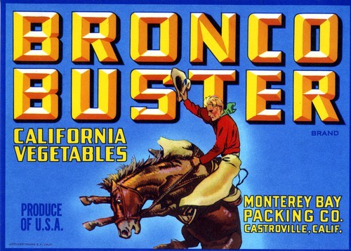 Bronco Buster