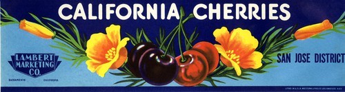 California Cherries