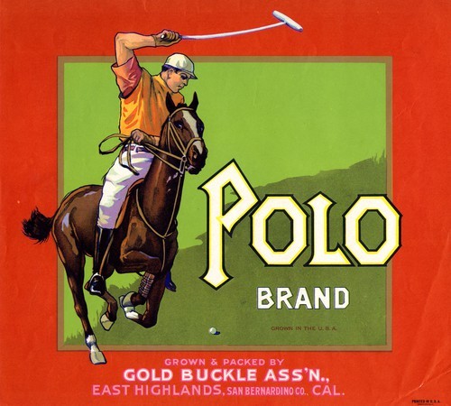 Polo