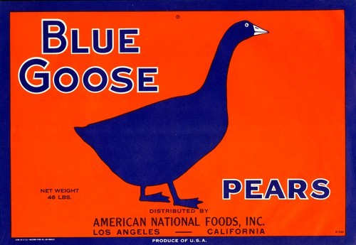 Blue Goose